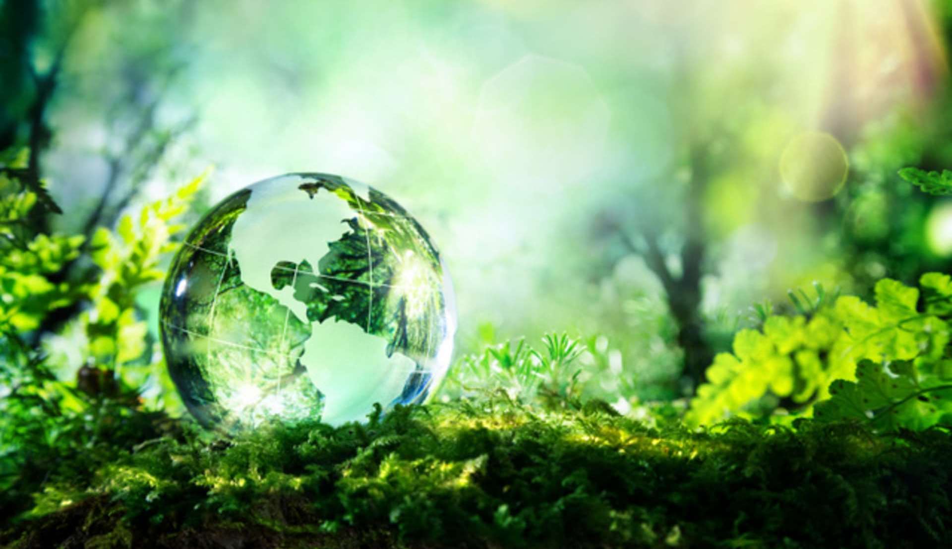 Environmental research and innovation